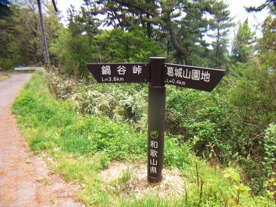 つまり、さっきの分岐で鍋谷峠のほうに進んでいく