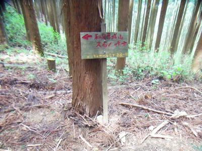 大石ヶ峰への道は正しいのかと思っている途中にこのような看板があった