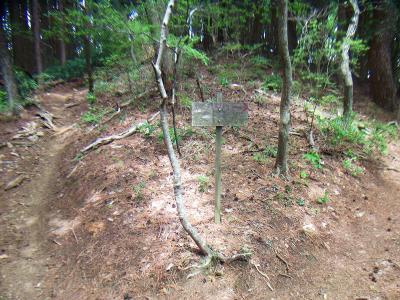 ここで大石ヶ峰へピーク手前の分岐。この左側のピークへ登っていくと山頂