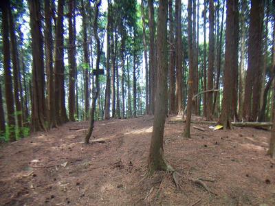 大石ヶ峰の山頂は樹林に囲まれた中にポツンとあった