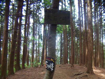 大石ヶ峰(866m)に到着。ずいぶん古いプレートで下のは割れていた