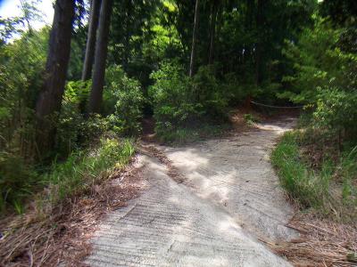 ところ変わって和泉葛城山から犬鳴山へ下る途中にある高城山へ通じる入口。ついでなので立ち寄る