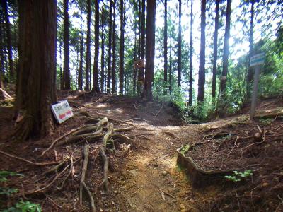 犬鳴温泉との分岐を右へ登っていくと高城山の山頂