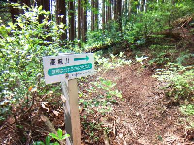 高城山への道標はちゃんとあるので従って進んでいく