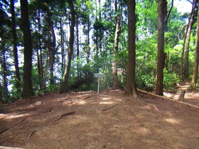 ピークに登ると少し広くなっている場所がある。ここが高城山山頂となる