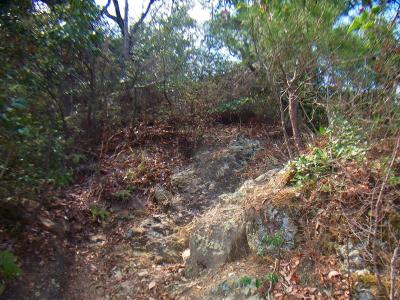 最初から岩のある登山道を登っていく