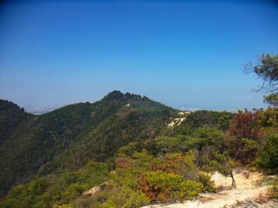 雨山までの稜線はアルペンムードな道が続くようだ