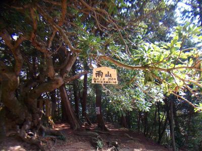 雨山山頂(312m)に到着。プレートには314mと記載されているのもあったけど調べてみるとやっぱ312mでしょう