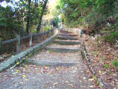 整備された階段をひたすら登っていく。急登ではないけど階段はペースが乱される