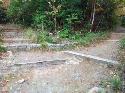 分岐。どちらに行ってもいいが右が五月平展望台下なので右へ行く