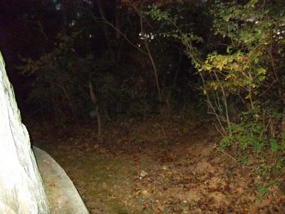 日の丸展望台の裏側にきた。千代山三角点を探してみる