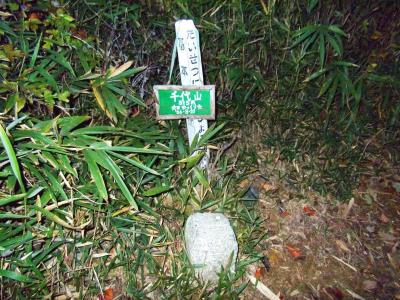 千代山三角点(315m)を見つけた。三角点もプレートもずいぶん古いな。これで今回の目的は達成した