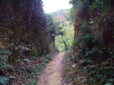 岩の間の道から見える山が山頂だろうか。あそこまでだと結構な距離がありそうだけど・・・