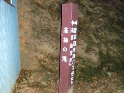 高神の滝はこの付近だけど滝らしきものがない。山頂まであと0.8kmだけど本番の登りはここからかも