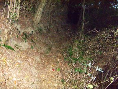 樹林帯の中はすっかり暗くなっていた。踏み跡はあるので迷いはしないと思うけど方向感覚がおかしくなりそう