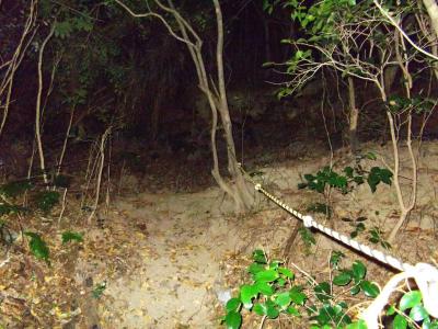 ここから少し急登がはじまる。トラロープがあったけど信用できない