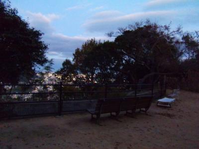 ベンチがあるけど展望はない。昔は樹林がなくて視界が良かったのかもしれない