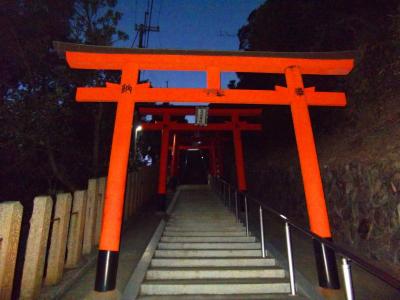 最後の登り。鳥居が並んでいるこの階段が結構長い感じがした