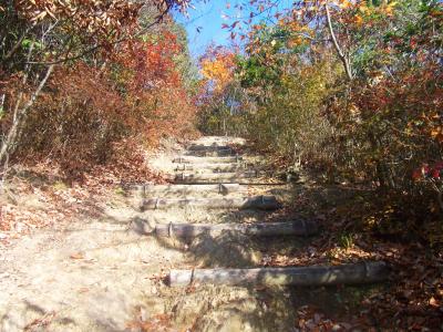 東海自然歩道は整備されているようで階段もちゃんとある