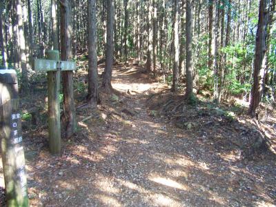 東海自然歩道を泉原のほうへ進んでいく