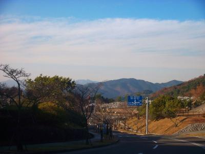 北摂霊園の8区あたりかな。ここは祖父の墓があるので車でよく通るので知っている道だけどね