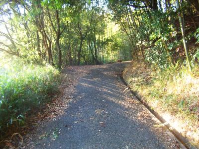 ここから忍頂寺までは林道というか舗装道ばかりが続く