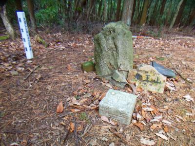 竜王山山頂(510m)に到着。三角点と山頂に立ち寄った