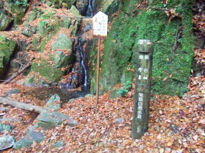 次の目的地は萩谷。分岐で健脚向けコースを進んだけど、これがちょっとしんどかった