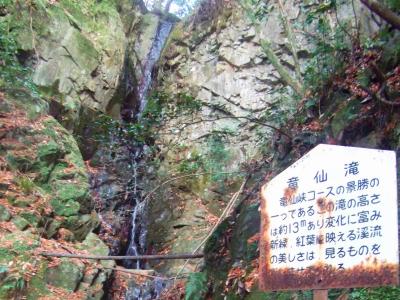 これが竜仙滝らしいけど、迫力もなければ水量も少ない。府道の駐車ポイントもないところからこれをわざわざ見に来る人はいないだろう