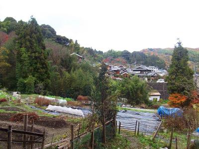 集落のような場所に出た。島本町なはずだけど住宅街とは言えない感じ