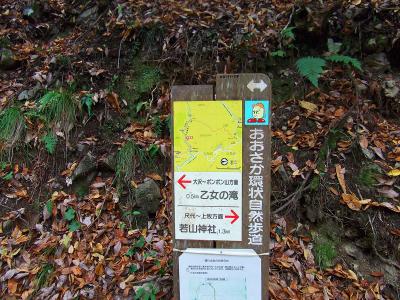 ここに道標があった。乙女の滝まで0.5kmということはすぐだね