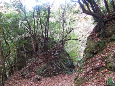 林道と思ったらこういう岩の間とか沢筋の登山道っぽい道になっていた
