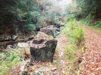 沢沿いの道をどんどん歩いていく。アップダウンとかない平坦な道なので歩きやすい