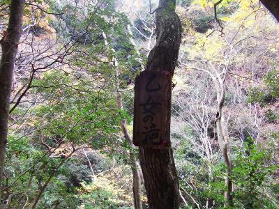 乙女の滝のプレートのところまできた。やはりここからだと見えないので沢に降りる