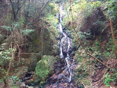 乙女の滝は水量が少なくて落差があまりないけど神秘的というか、なにか不思議な滝なんよね