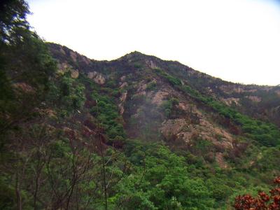 あの稜線を歩くのかと思いながら見上げる