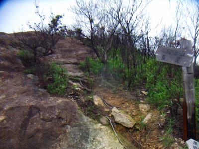 ここでやっと道標がでてきた。高御位山はこの岩を登っていく。これが百間岩かな