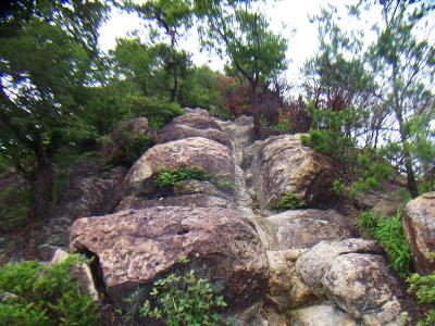 やはり岩場の多い登山道が続く。これをピストンするけど下りも時間がかかりそうな感じかも