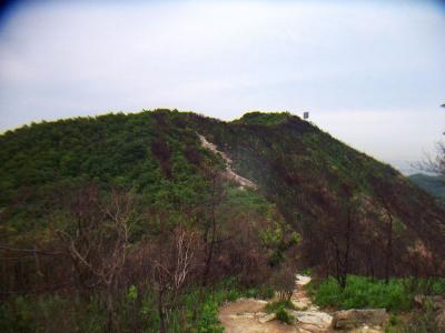 向こう側に見えている反射板の奥が高御位山の頂上なはず。こまめなアップダウンを繰り返してようやくここまできた