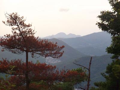 こっち側は何の山が見えてるのかわからないけど、妙見山ではなさそうだ