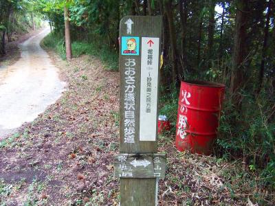 1.0km先の堀越峠に戻る。男山～女山は舗装道のようになっているけど公園の管理用なのか！？でもどこから車を持ってくるんだろうか