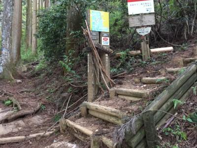 今回は母もいるので登山口から左のいわわきの道で登っていく
