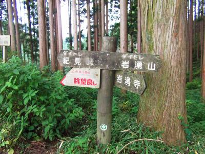 ダイヤモンドトレール合流。この先30m先の眺望良しに立ち寄ってみる