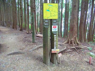東峰に到着。ここは分岐になってる。下りはきゅうざかの道で決定だね