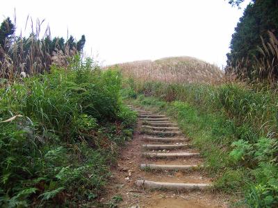一旦下った後、岩湧山への登りがはじまる。ススキがずいぶん育った感じだった