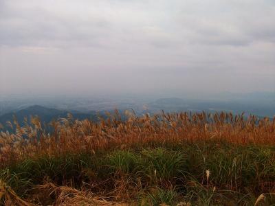 展望広場から市街地を望んでみる。ススキで視界が少し遮られてるけど、一度トワイライトタイムにススキと夜景を撮影してみたい