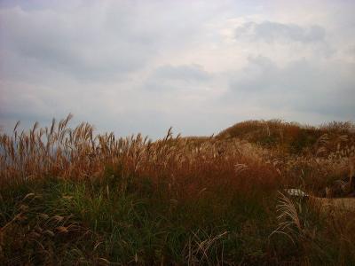 展望広場から振り返るとやはりススキだらけになっていた。これから下山開始だけど途中から暗くなった