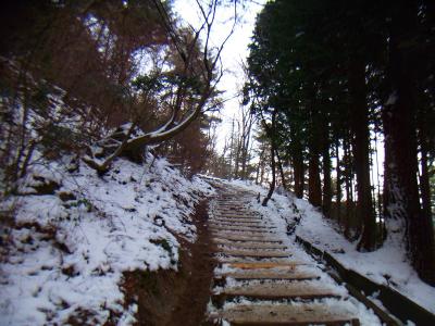 階段だらけの千早本道と言われるだけあって、本当に階段ばかりだ
