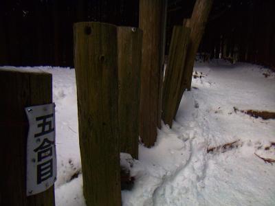 五合目。ここで一旦階段が終わってなだらかになる。画像には見えてないけど東屋、休憩所もあった
