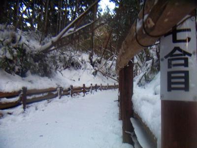 七合目。まだまだ階段が終わらないけど、急登ってわけでもないので息切れしないけど階段なのでペースが乱される